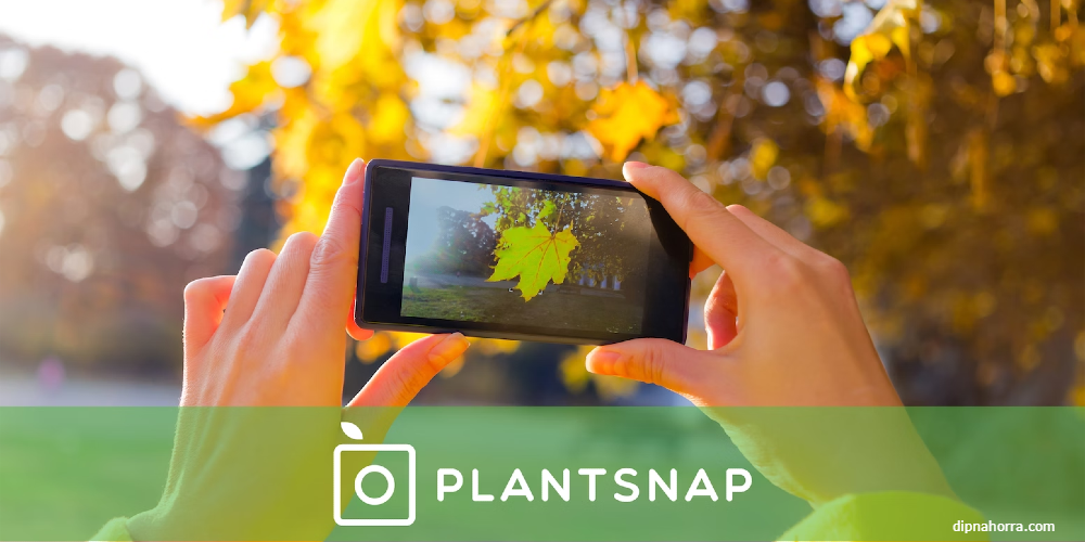PlantSnap app